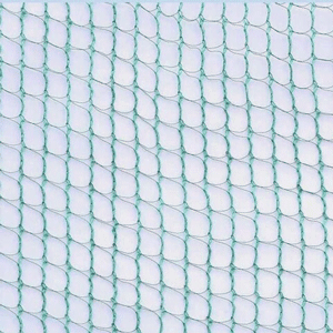 Δίχτυ πουλιών